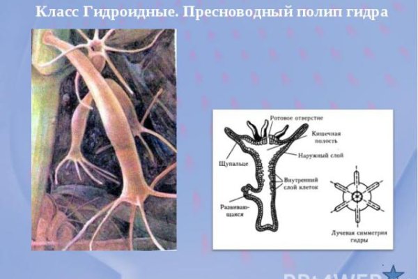 Кракен активная ссылка