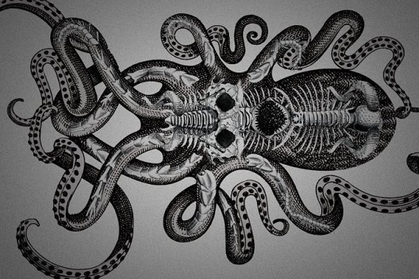 Kraken 2krn
